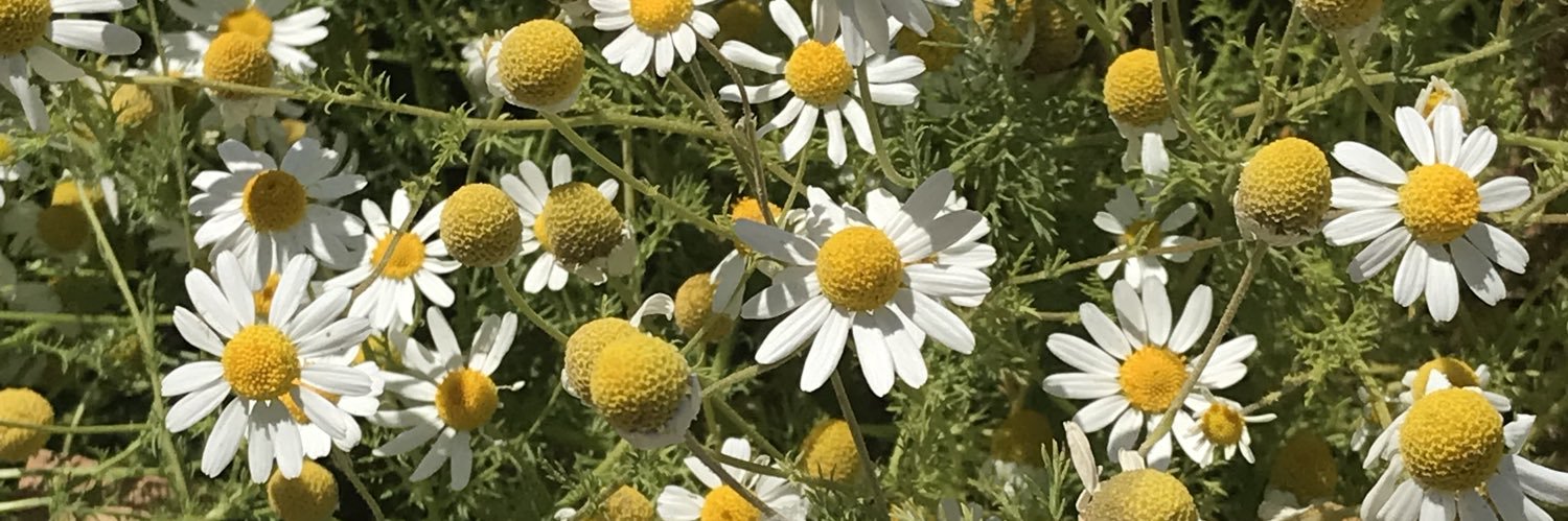 jordan mccuaig (he/him) banner