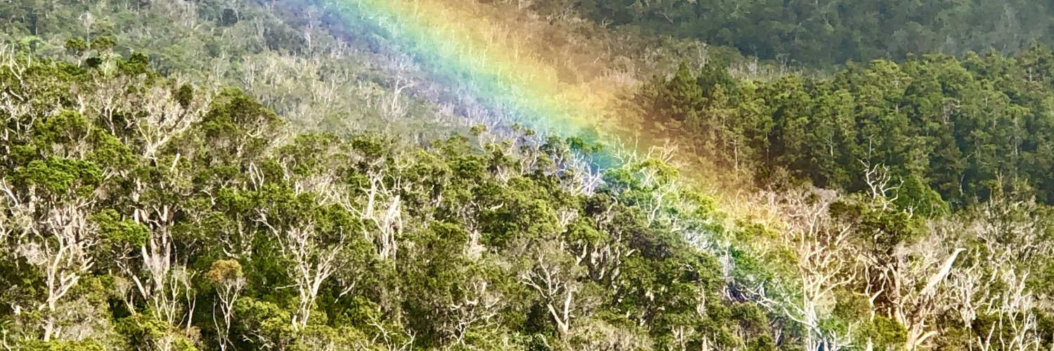 MusicToExplore_ banner