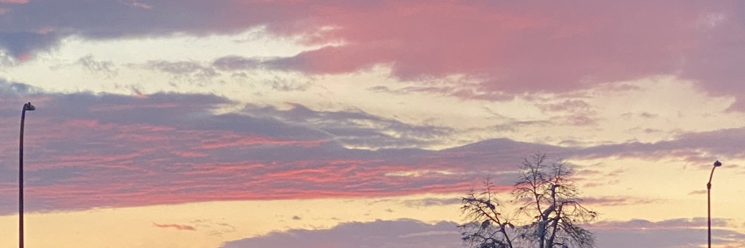 LexiStephen1's profile banner image