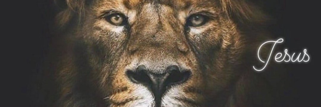 Nego_wash23's profile banner image