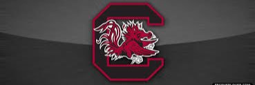 Firstclass Gamecocks banner