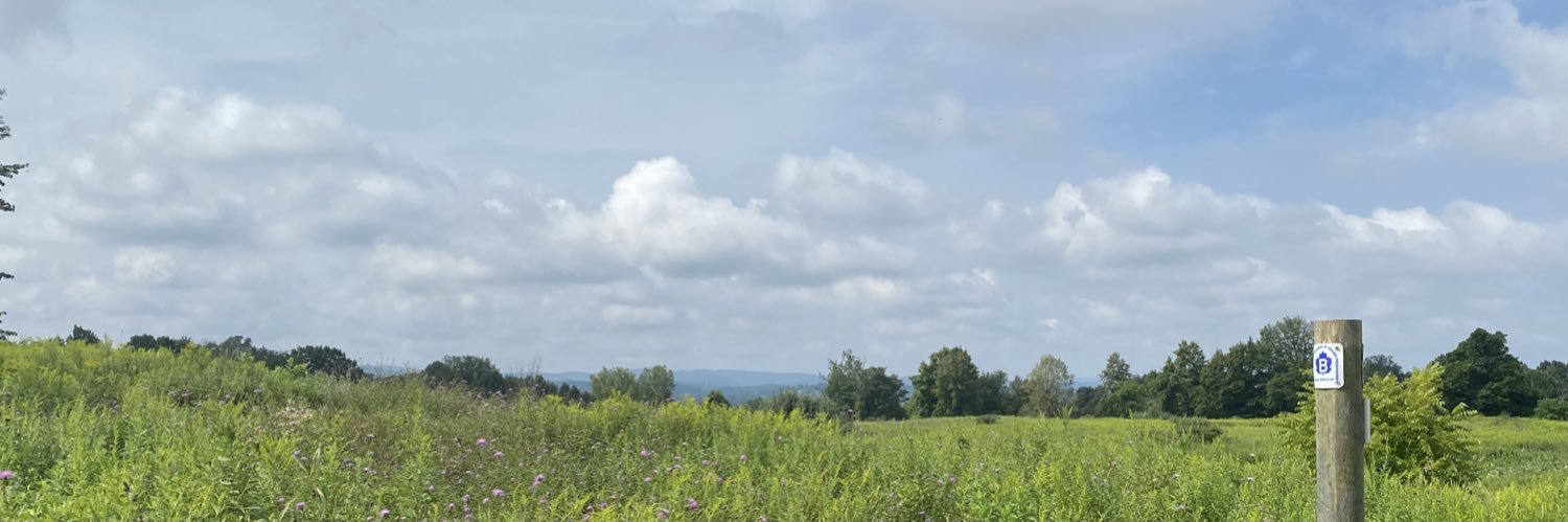 Sam Theoharis banner