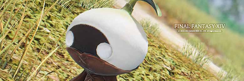 BLACK_RABI's profile banner image