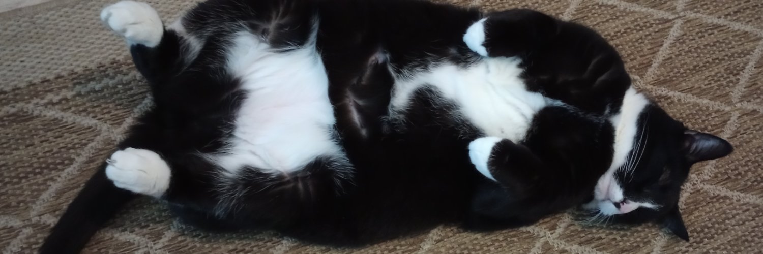 Worst_Episode_Eva ☕ banner