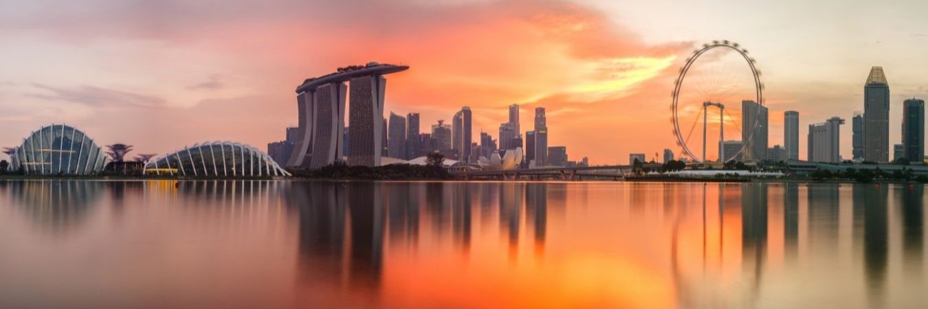 Tesla shareholder hodl since 17/18. Not-a-cult. banner