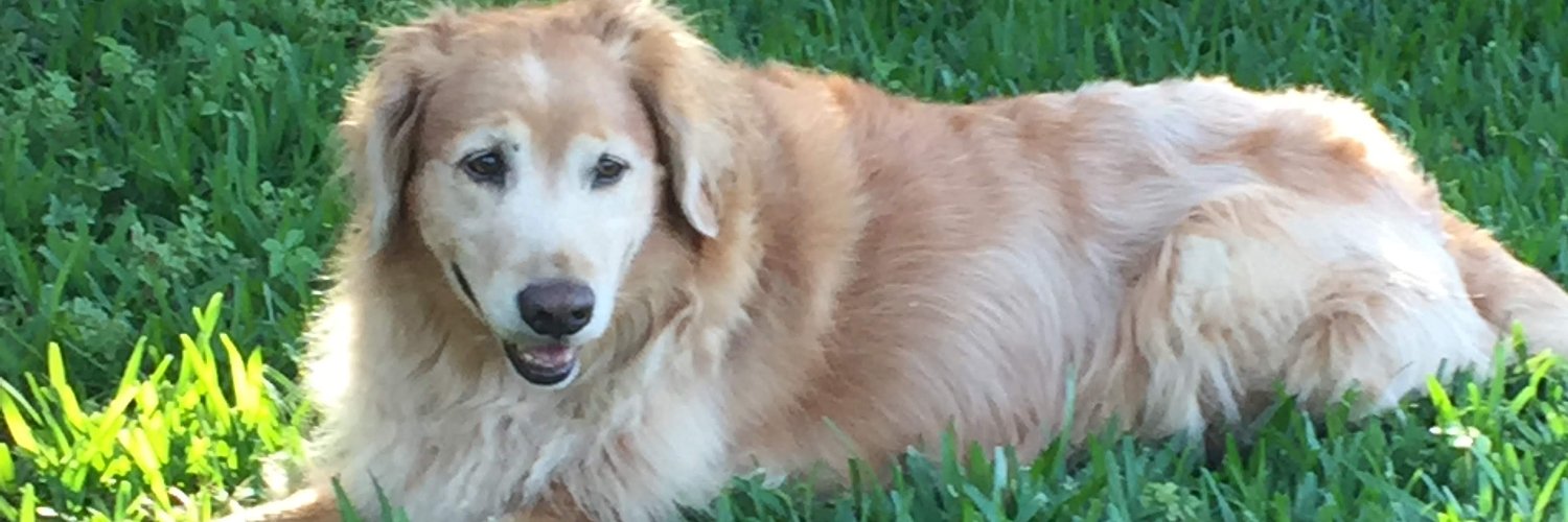BillCaesar5's profile banner image