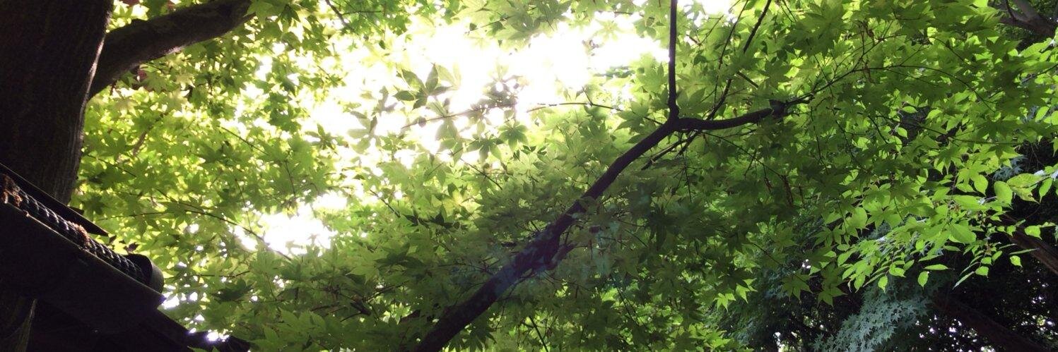 Wiz_NaGi's profile banner image