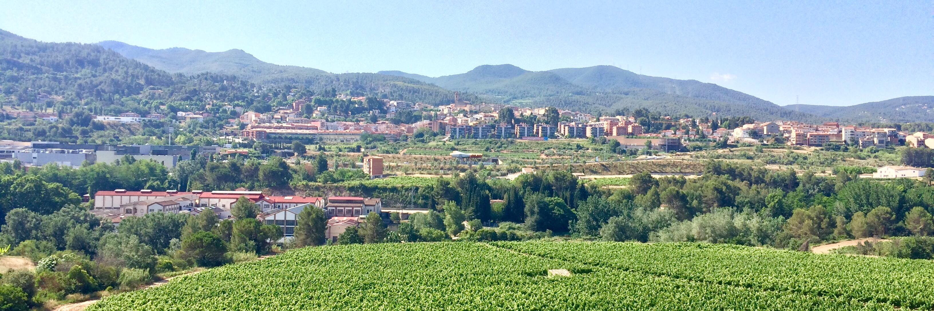 Daniel García Peris banner