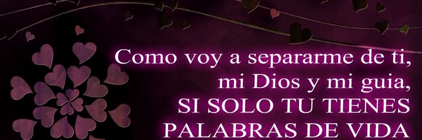 DENISSETORRES_4's profile banner image