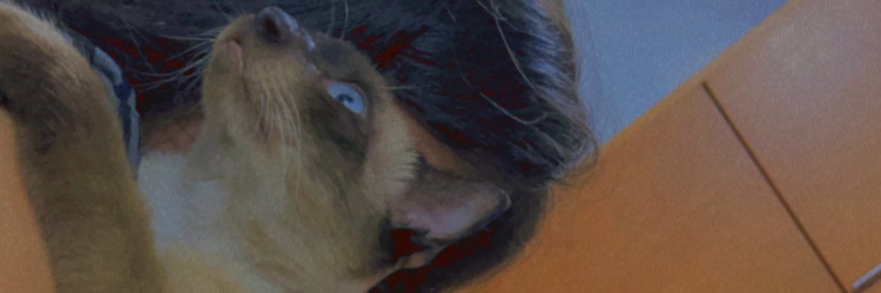 HitalbaM's profile banner image