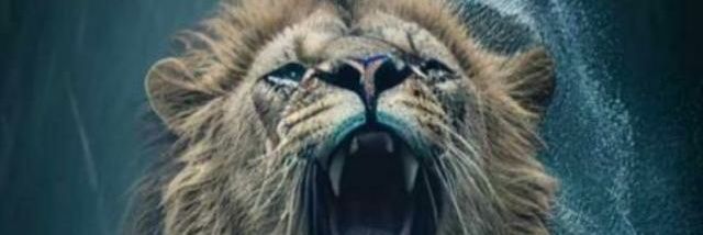 meskezzy1's profile banner image