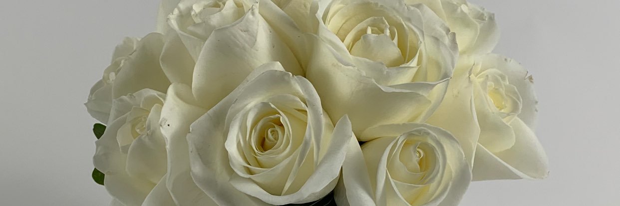keannaholder's profile banner image