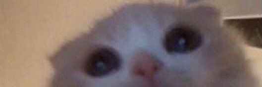 Jaegger (da ASAP) banner