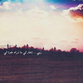 sono70409805's profile banner image