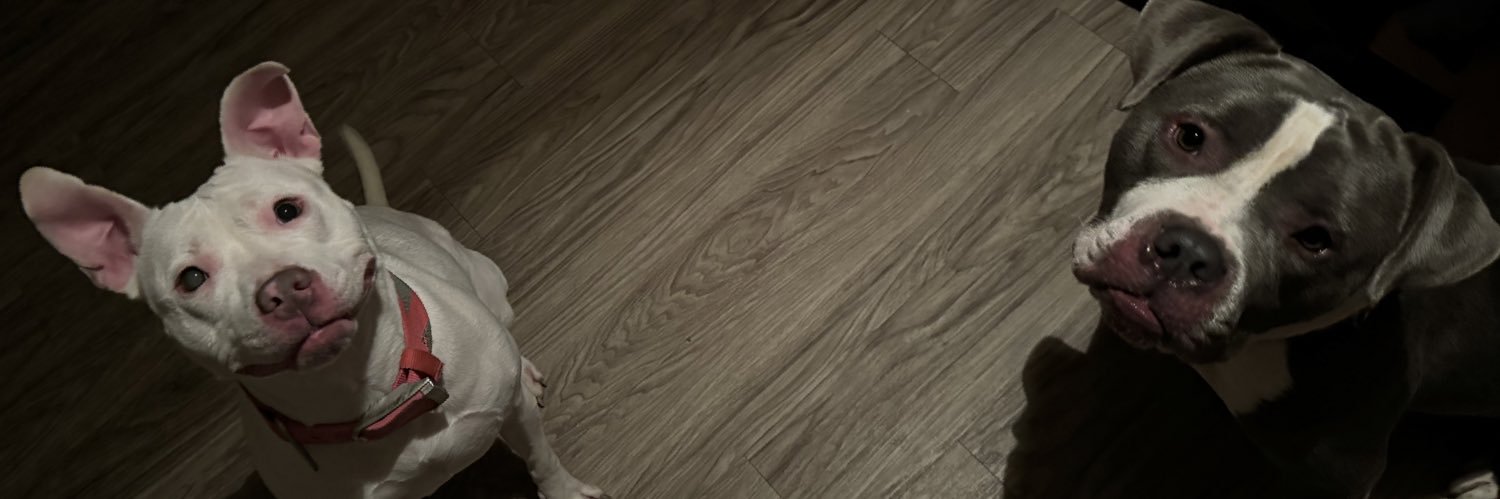 sydneypeyton17's profile banner image
