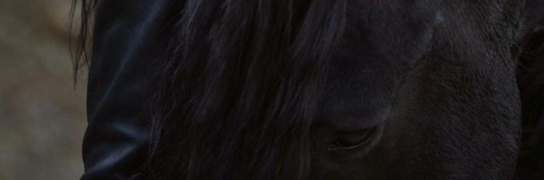 HHM2231's profile banner image