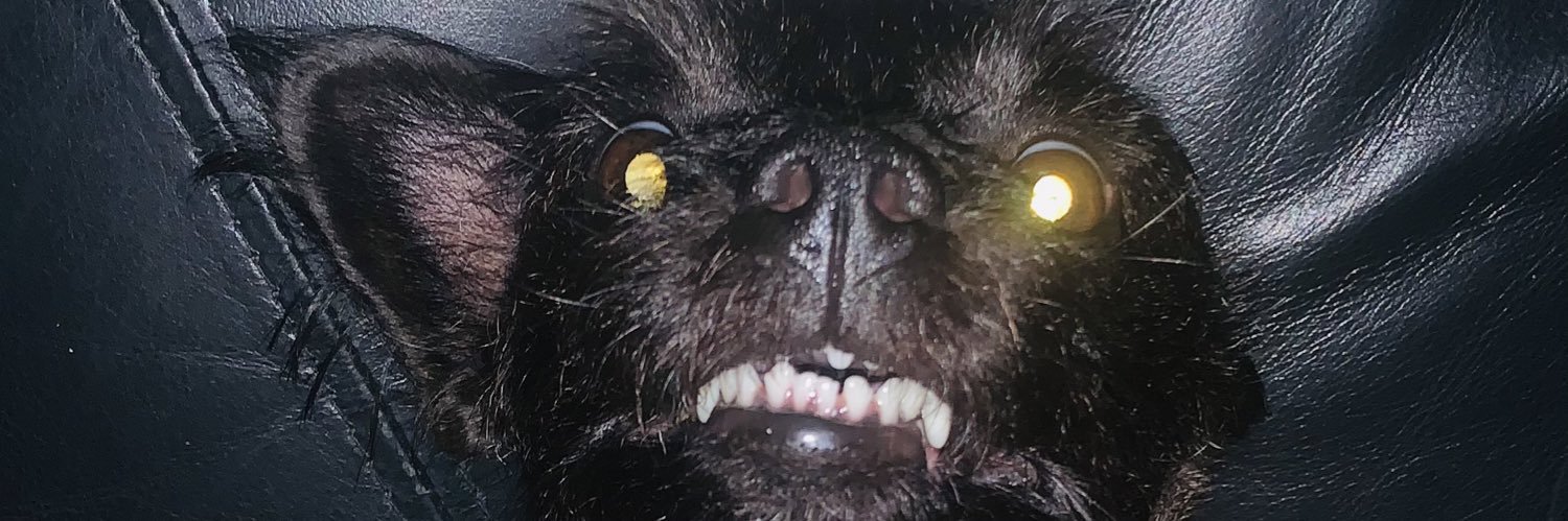 alexjadax's profile banner image