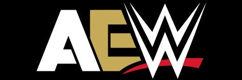 Mr. Wrestlingverse™ banner