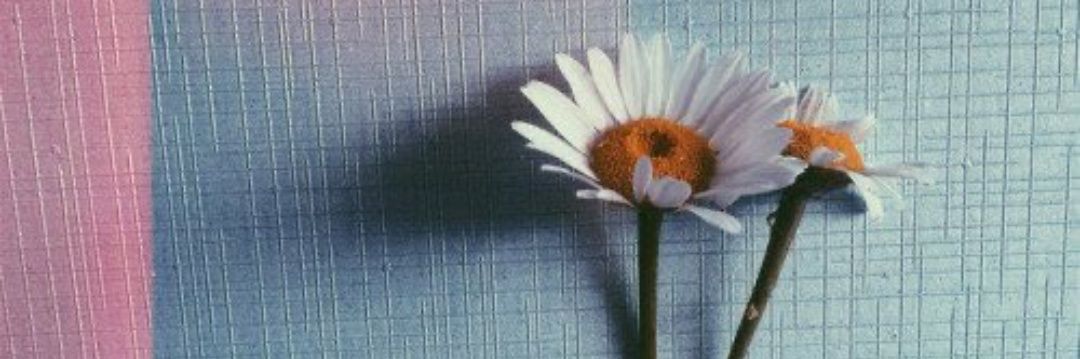 gulgolck's profile banner image