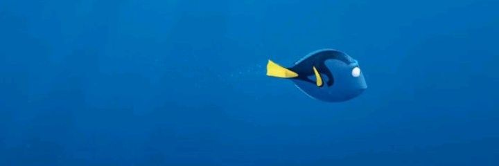 afsaaaaane's profile banner image