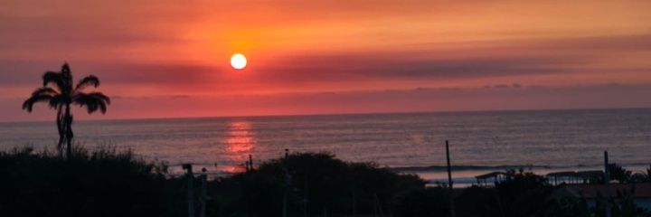 Alealeyandra 🍒 banner