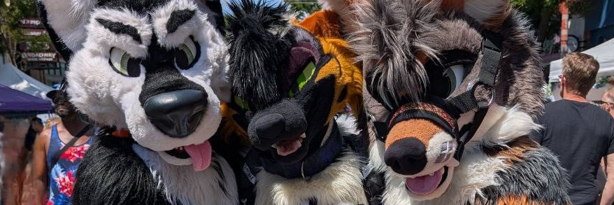 tio coyote banner