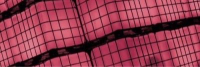 wdymisabell's profile banner image
