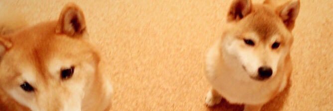 akkachandayoo's profile banner image