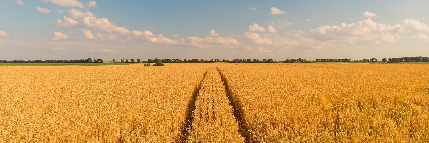 fordmarling's profile banner image