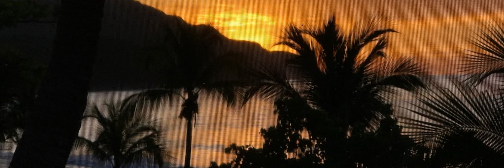 hirstsr's profile banner image