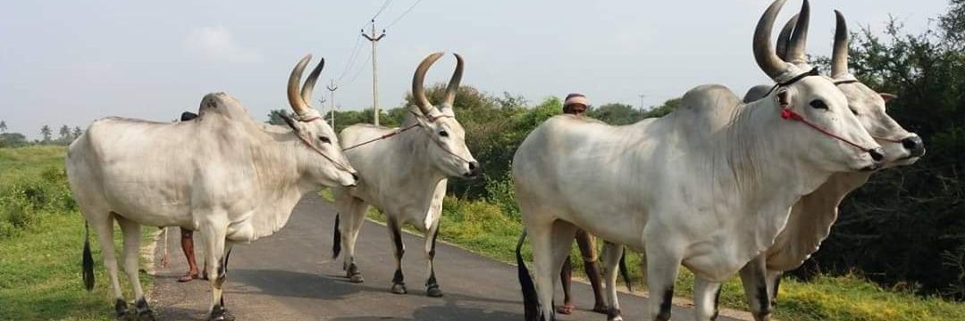 babu17489's profile banner image