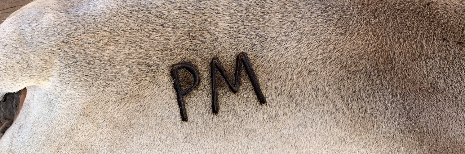 pabloamonteiro's profile banner image