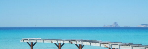 JazzyDolphin Profile Banner