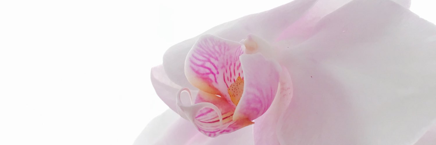 _JasminClarke's profile banner image