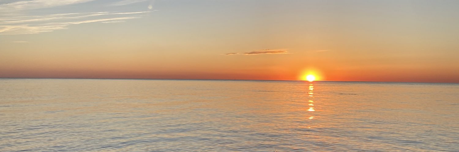 mansipxo's profile banner image