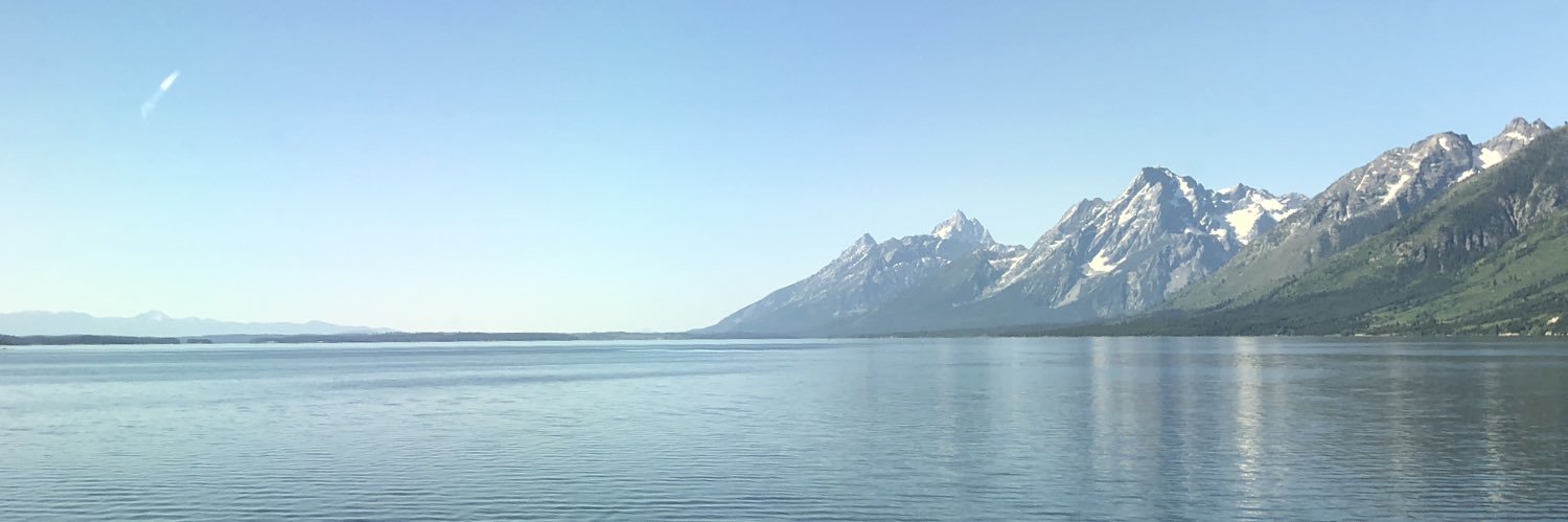 LauraMentler's profile banner image