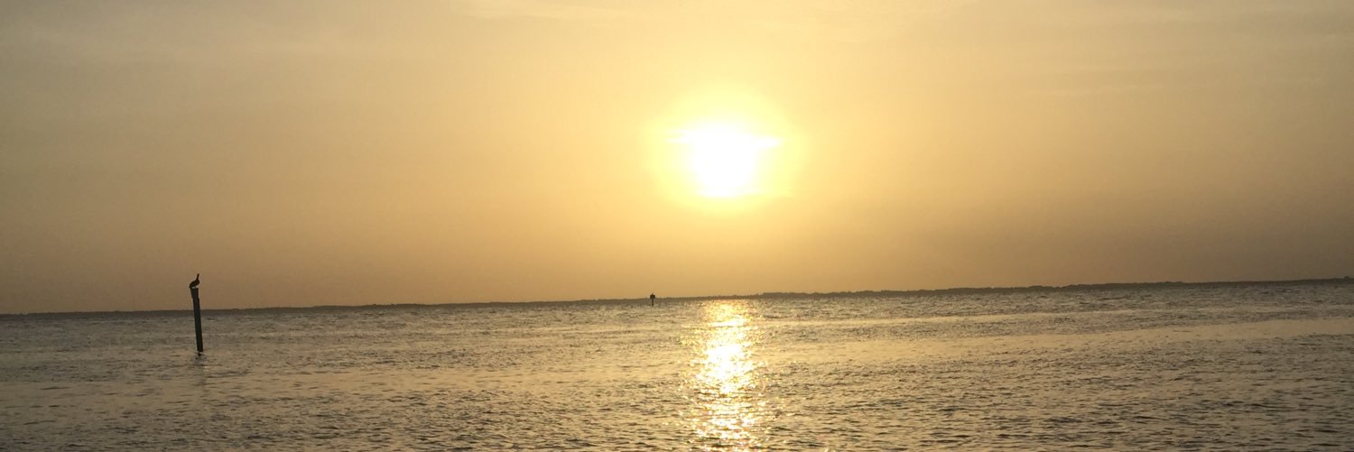 BextenMolly's profile banner image