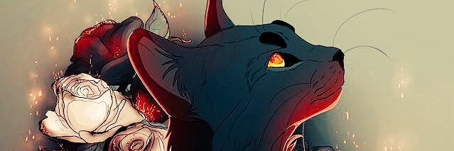 QWolf5010's profile banner image