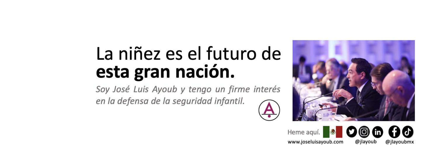 José Luis Ayoub Pérez banner