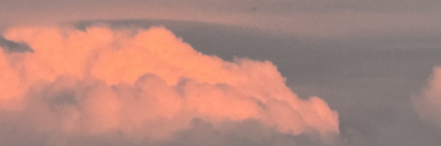 zelxzen's profile banner image