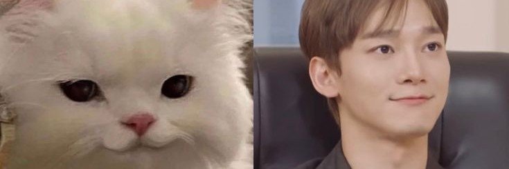 fire_ligh's profile banner image