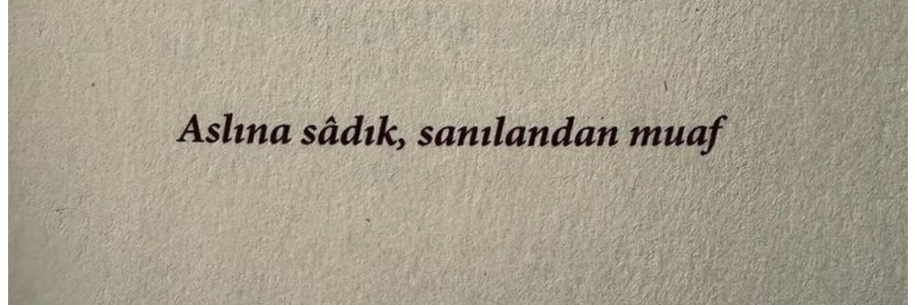P🌊🐺🦅🇹🇷𐱅𐰇𐰼𐰚 𐰚𐰀𐰢𐰀𐰞𐰃𐰾𐱅🇹🇷 banner