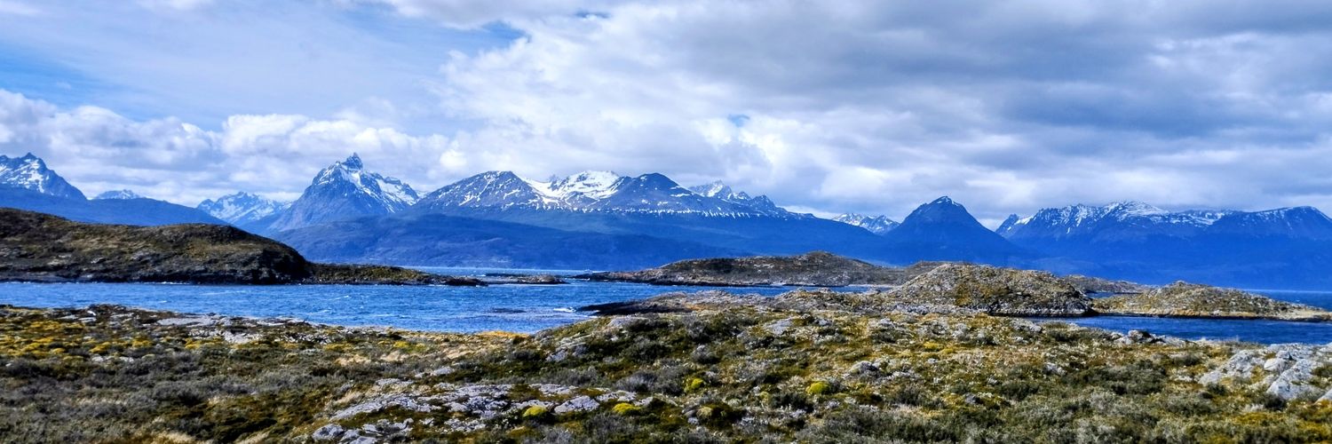selecativelli's profile banner image