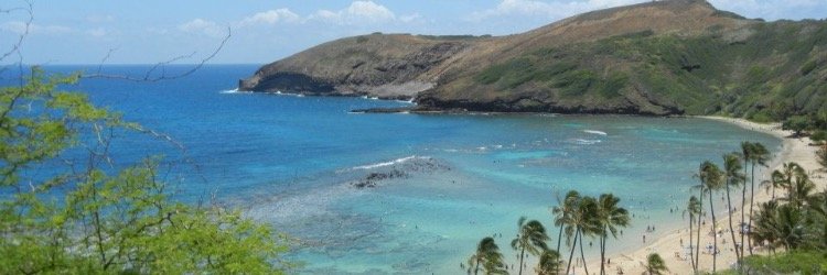 Colette Pierson banner