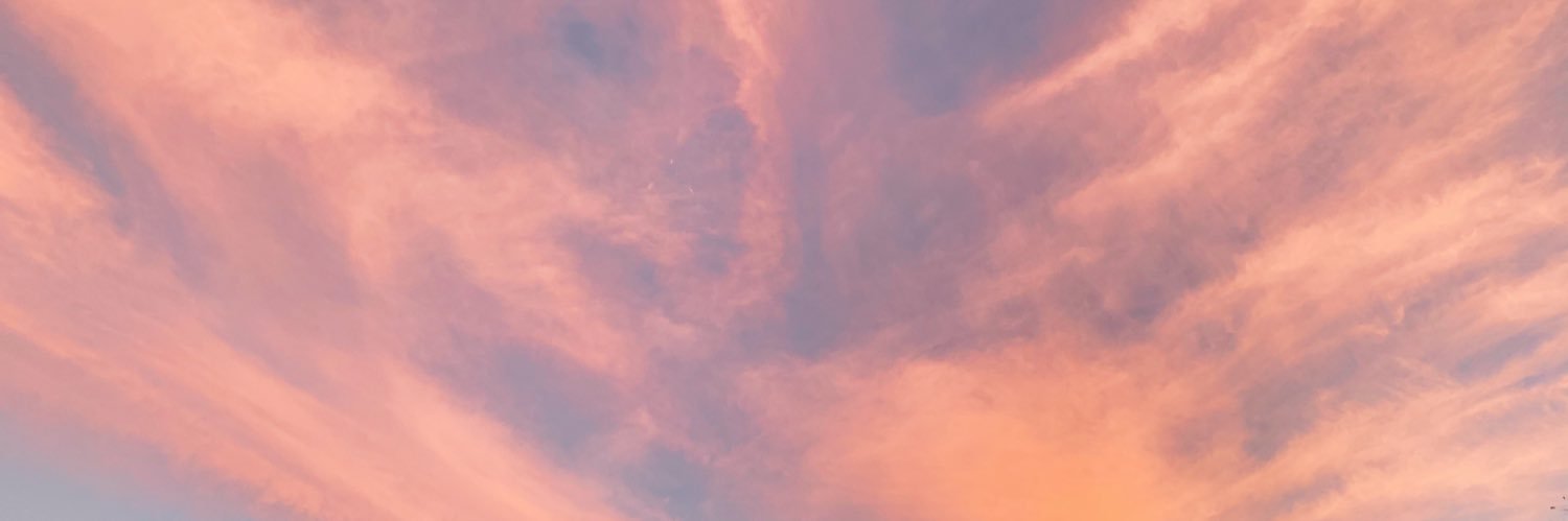 tinybiscuitjr's profile banner image