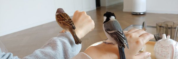 ddangkongi_ Profile Banner