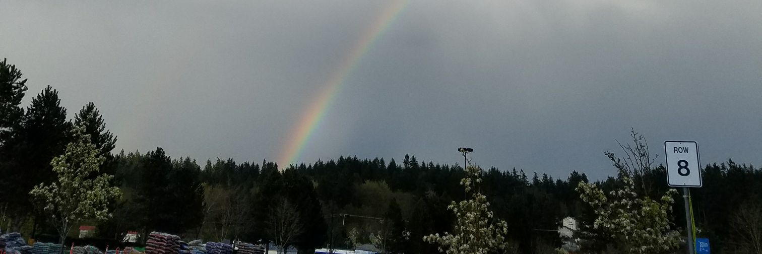 theresalwaysup's profile banner image