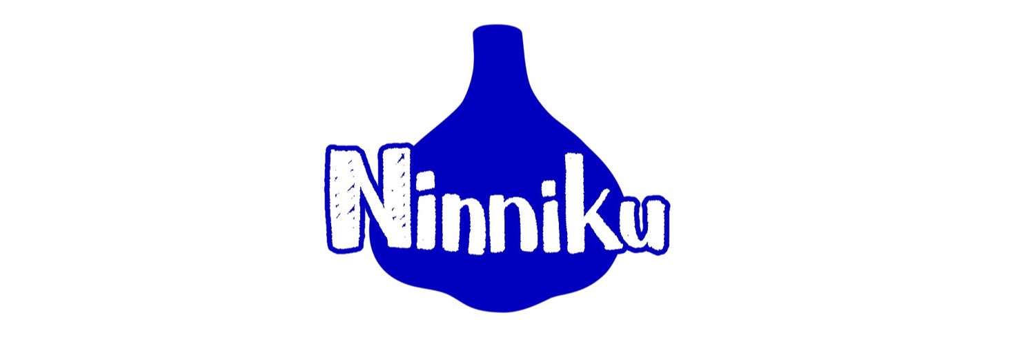 Rakia_gaming's profile banner image