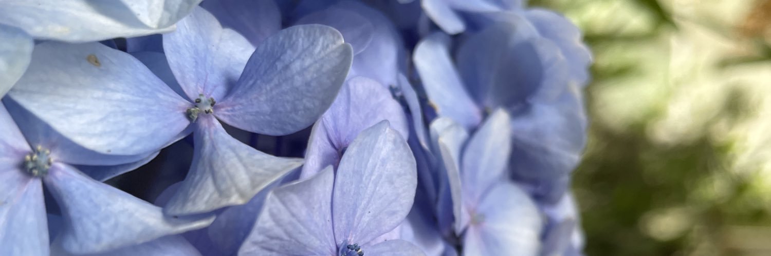 coolwind_a's profile banner image