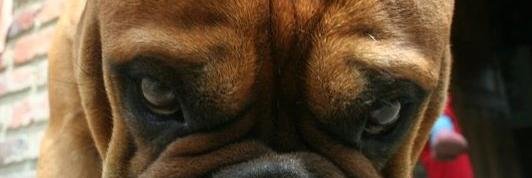 inrialva's profile banner image